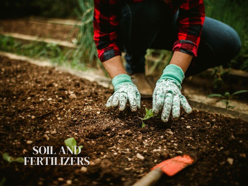 Soil and Fertilizers